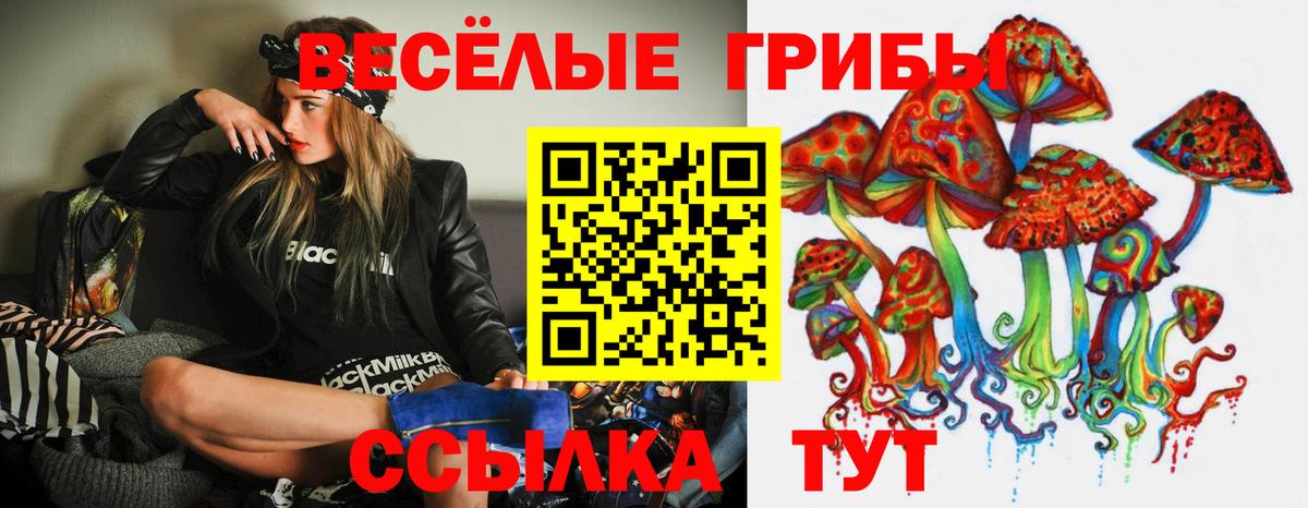 Севастополь  Галлюциногенные грибы MAGIC MUSHROOMS  Вход с VPN  Галлюциногенные грибы Magic Shrooms 